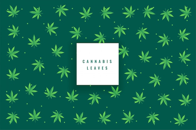 El cannabis marihuana natural deja el fondo del modelo