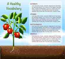 Vector gratuito capsicum planta y texto