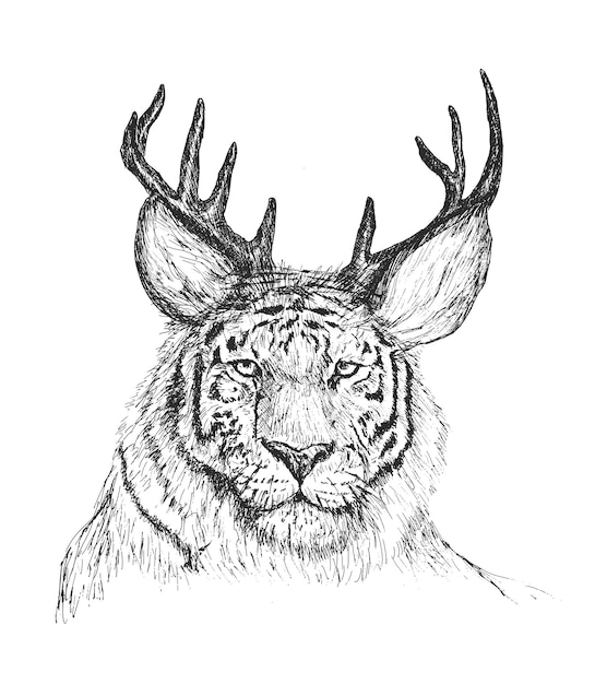 Cara de tigre con cuernos de venado boceto dibujado a mano psicodélico ilustración fondo de pantalla