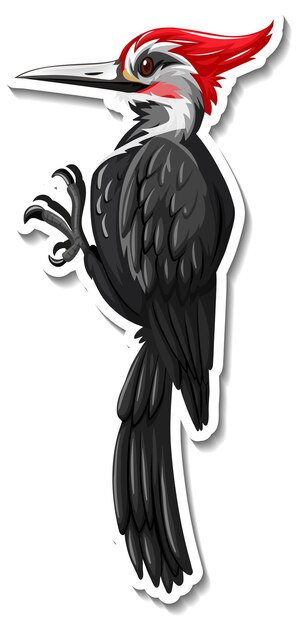Caricatura animal pájaro carpintero pegatina