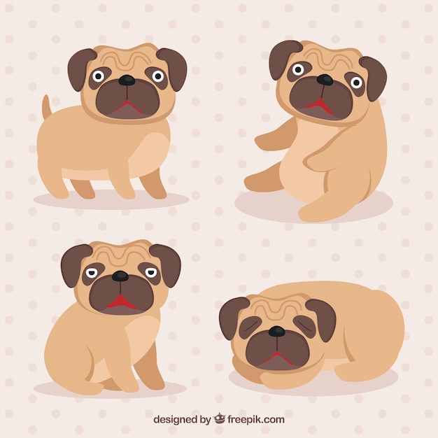 Carlinos adorables con diseño divertido