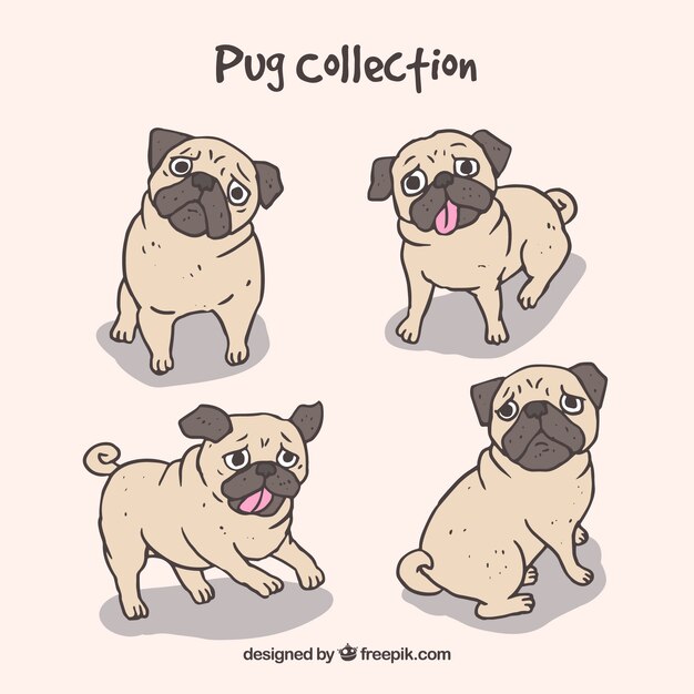 Carlinos dibujados a mano con estilo adorable