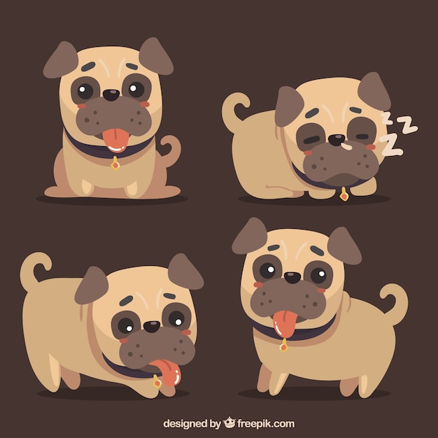 Vector gratuito carlinos felices con estilo adorable