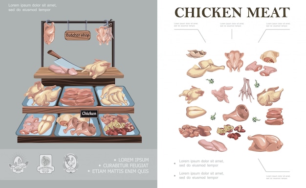 Carnicería composición colorida con patas de pollo alas muslo pies pechuga filete jamón hígado corazón en mostrador