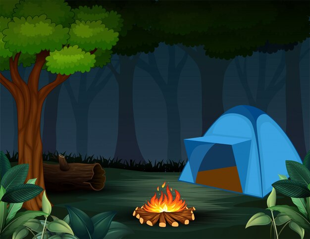 Carpas con hoguera en el fondo del bosque de noche oscura