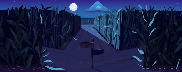 Carretera en maizal con horquilla y señales de dirección en la noche