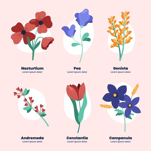 Carta de flores botánicas dibujadas a mano