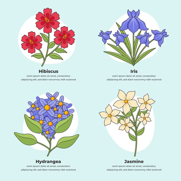 Carta de flores botánicas dibujadas a mano