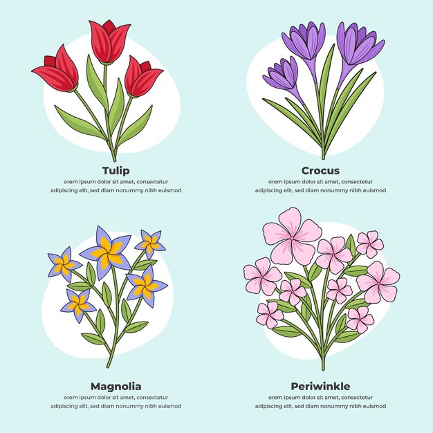 Carta de flores botánicas dibujadas a mano
