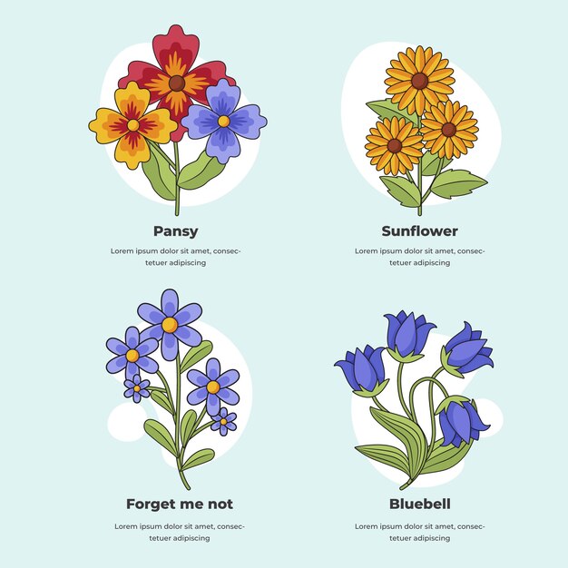 Carta de flores botánicas dibujadas a mano