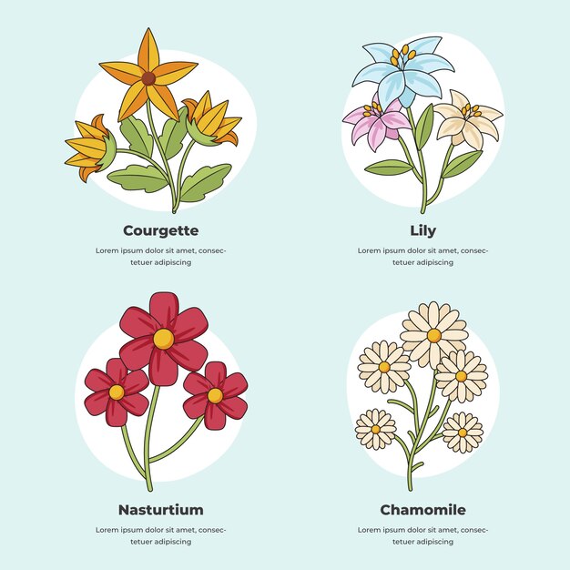 Carta de flores botánicas dibujadas a mano