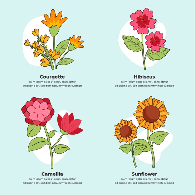Carta de flores botánicas dibujadas a mano