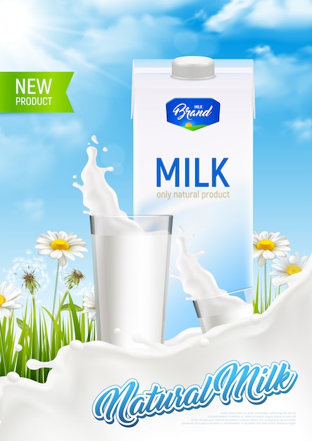 Cartel de anuncio de paquete de leche rústica natural realista con salpicaduras de leche de vidrio y campo de manzanilla con ilustración de texto