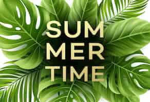 Vector gratuito cartel de horario de verano con hojas de palmeras tropicales.