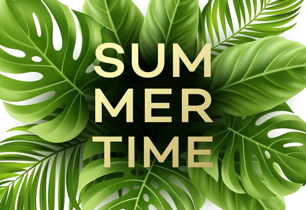 Cartel de horario de verano con hojas de palmeras tropicales.