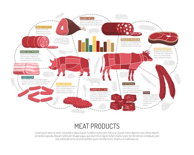 Cartel de infografía plana de productos cárnicos