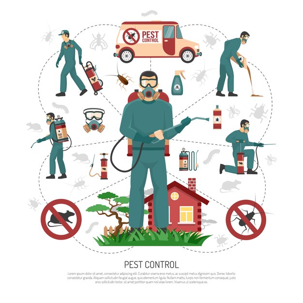 Cartel de infografía plano de servicios de control de plagas