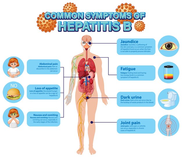 Cartel informativo de síntomas comunes Hepatitis B