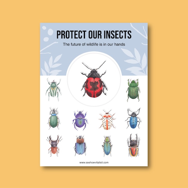 Cartel de insectos y aves con varios escarabajos ilustración acuarela.