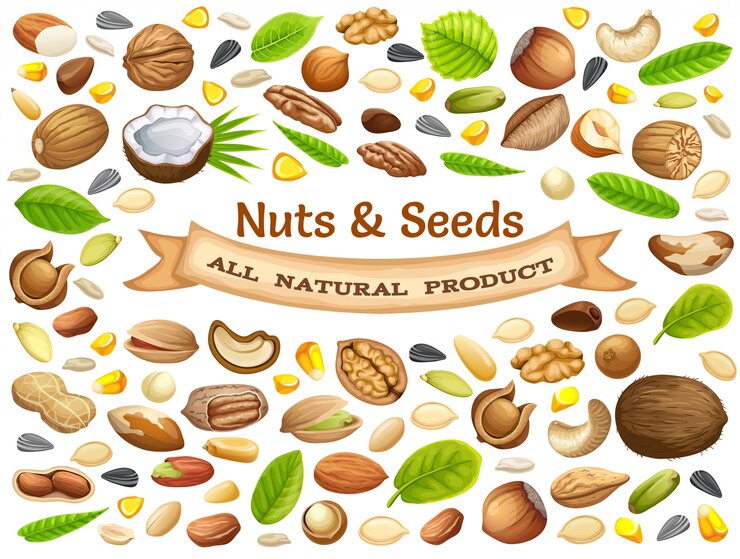 Vector gratuito cartel de nueces.