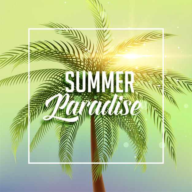 Cartel de paraíso de verano con palmera y luz solar.