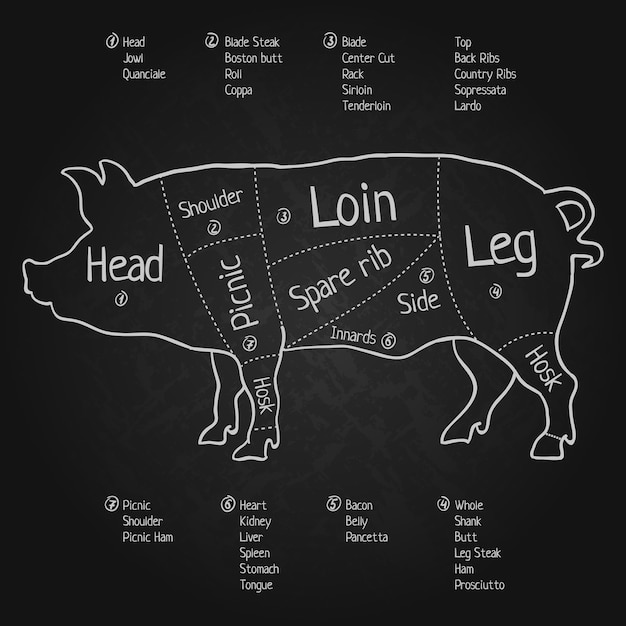 Vector gratuito cartel de pizarra de diseño creativo con imágenes detalladas de corte de cerdo en inglés