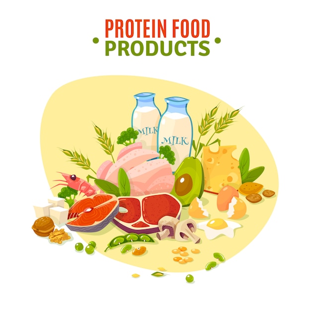 Cartel plano del ejemplo de los productos alimenticios de la proteína