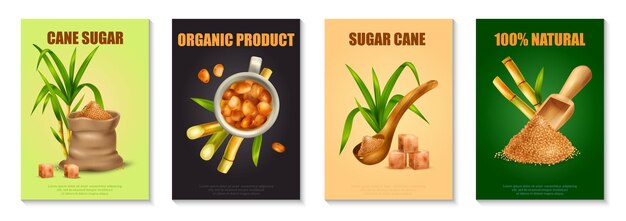 Cartel realista de caña de azúcar con símbolos de producción orgánica aislados ilustración