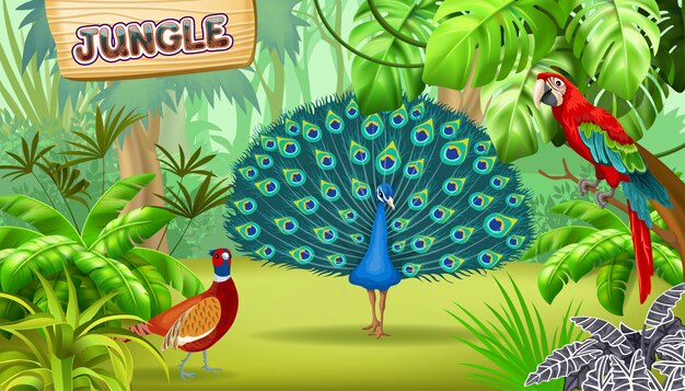 Cartel de selva tropical y aves.