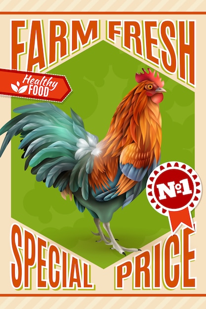 Vector gratuito cartel del vintage de la oferta de la venta de la granja del gallo