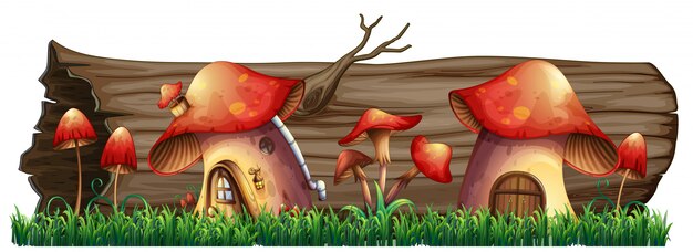 Casas de setas junto al tronco.