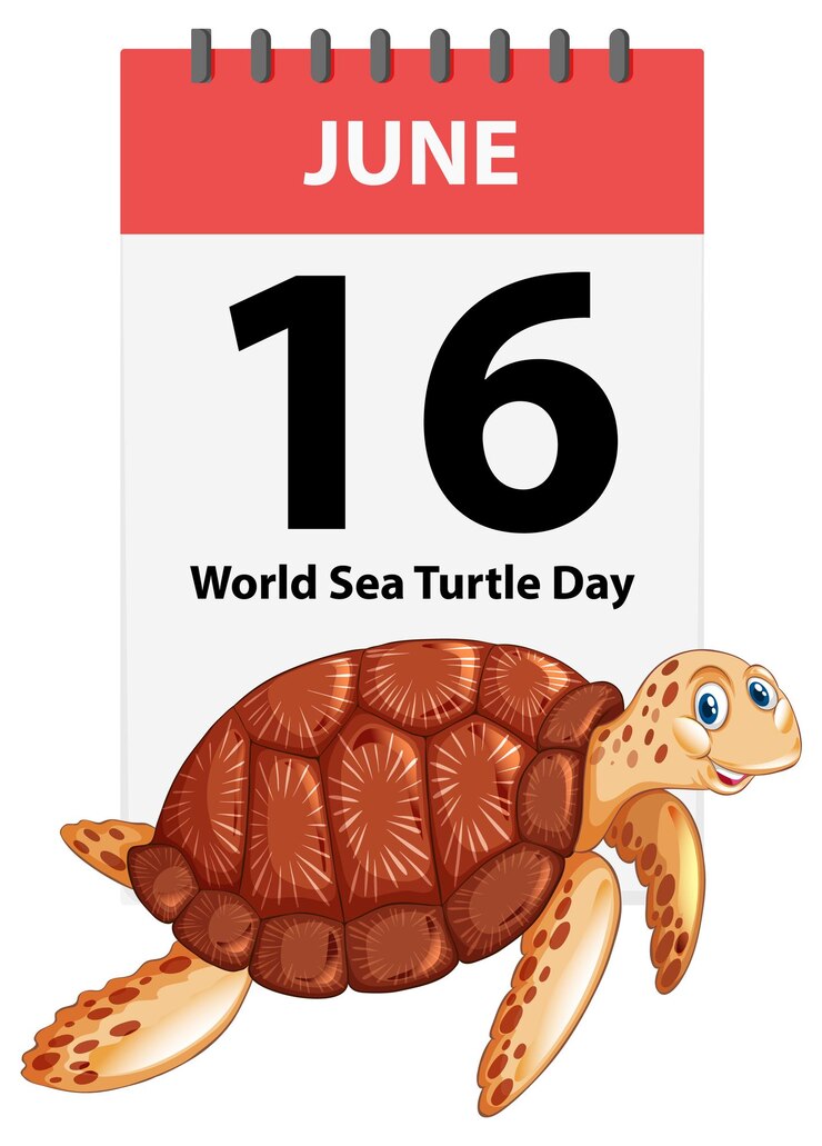 Vector gratuito celebración del día mundial de las tortugas marinas