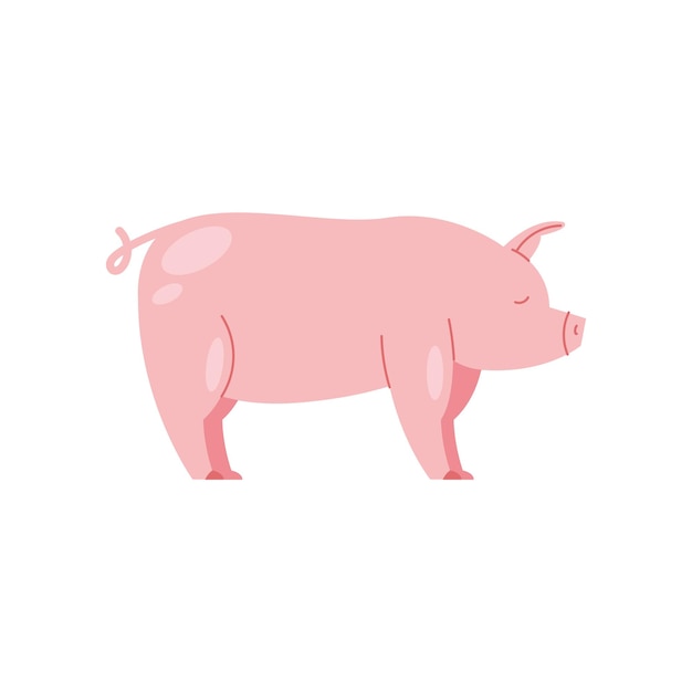 El cerdo está de pie.