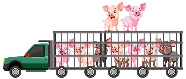 Los cerdos transportados en un camión de granja