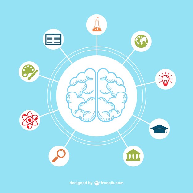 Cerebro con iconos de educación