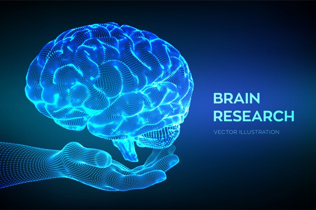 Cerebro en mano. Investigación del cerebro humano. Red neuronal.