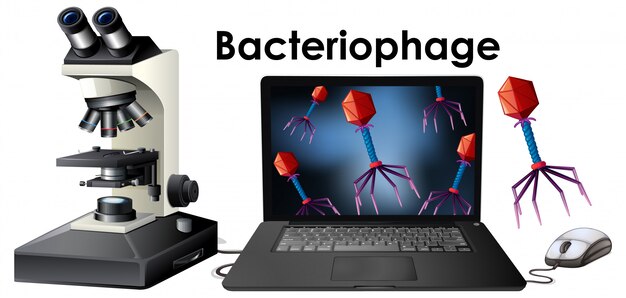 Cerrar objeto aislado de virus Bacteriófago aislado ilustración