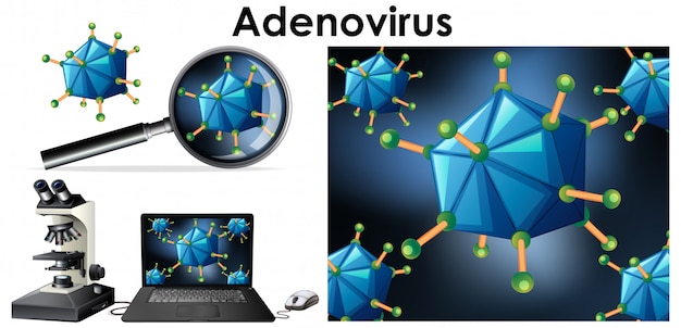 Cerrar objeto aislado de virus llamado adenovirus