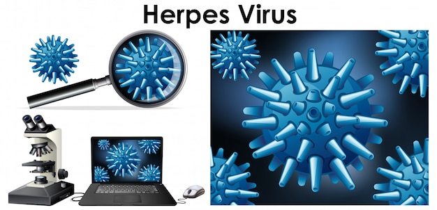Cerrar objeto aislado de virus llamado virus del herpes