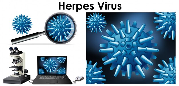 Cerrar objeto aislado de virus llamado virus del herpes