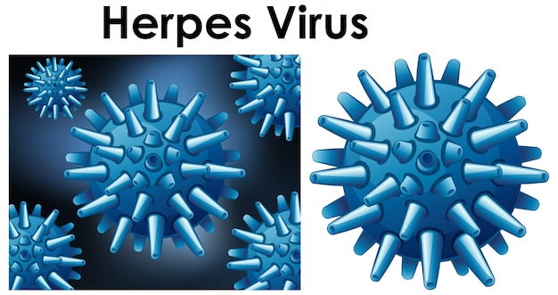 Cerrar objeto aislado de virus llamado virus del herpes