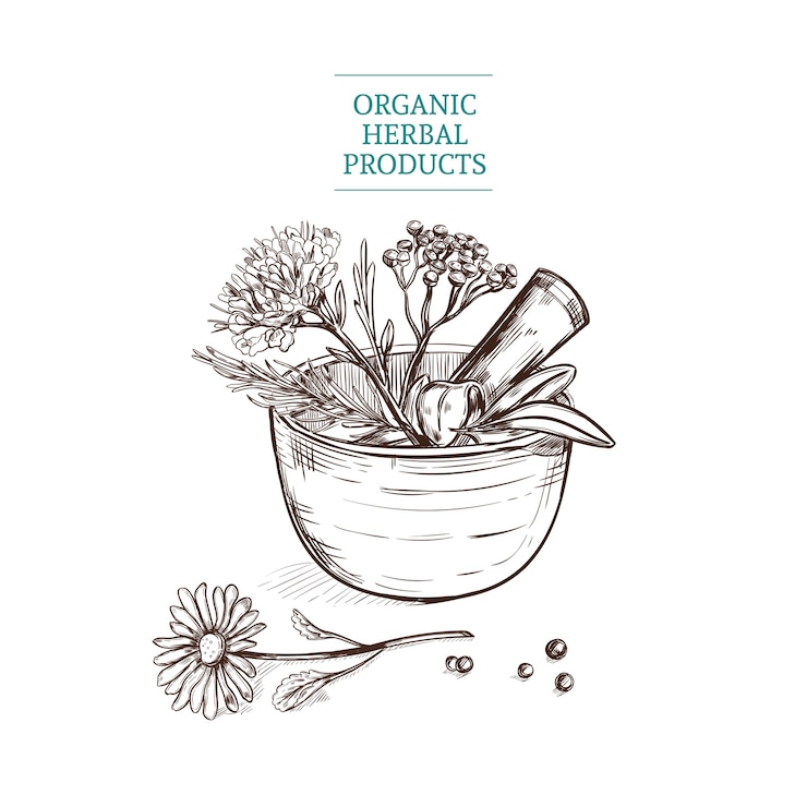 Vector gratuito cesta de flores decorativas dibujadas a mano