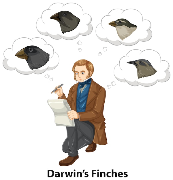 Vector gratuito charles darwin pensando en pájaros pinzones