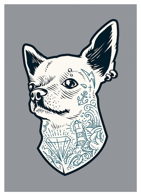 Chihuahua tatuada