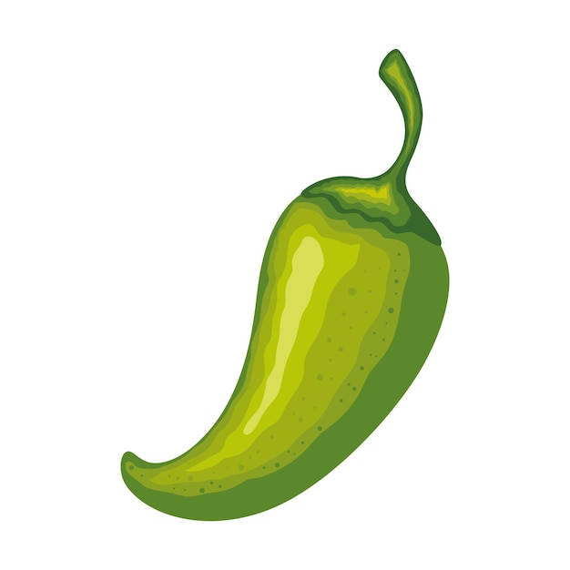 chile, verduras y especias para una cocina saludable
