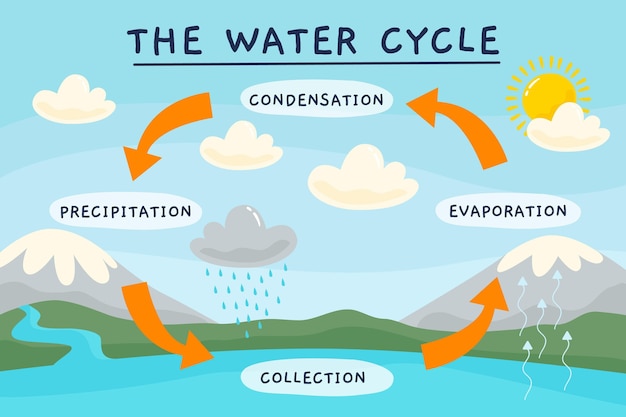 Vector gratuito ciclo del agua dibujado a mano