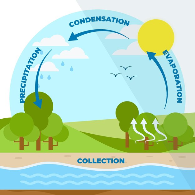 Ciclo del agua de diseño plano ilustrado