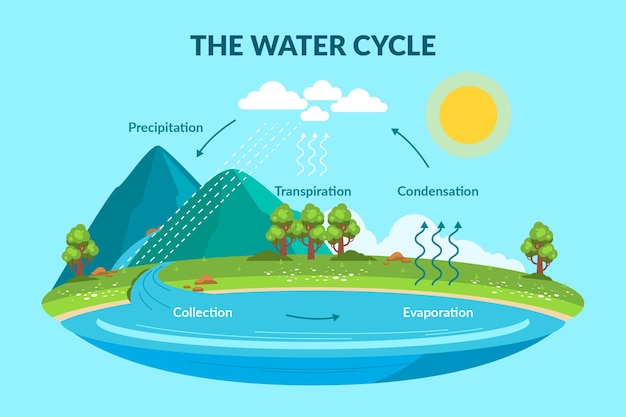 Vector gratuito ciclo del agua de estilo plano