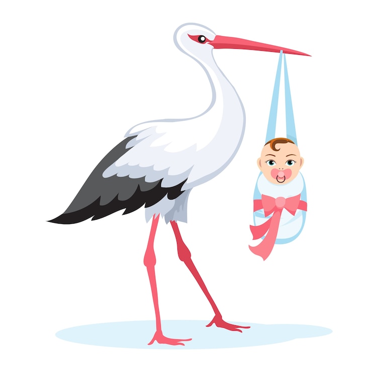 Vector gratuito cigüeña con bebé en paquete aislado en blanco.