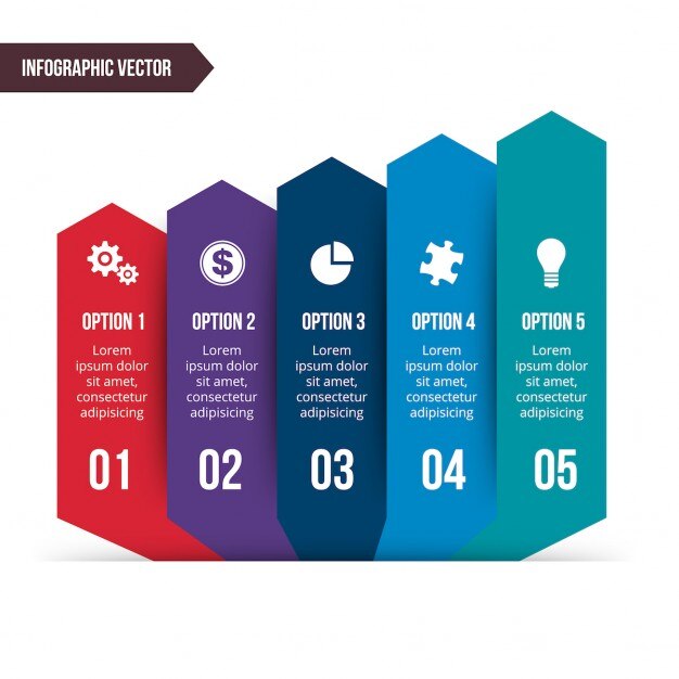Cinco opciones con iconos para infografías 